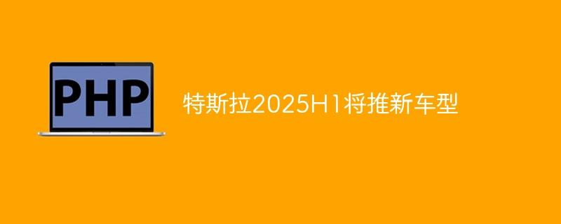 特斯拉2025H1将推新车型