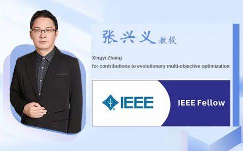 张兴义教授入选IEEE Fellow