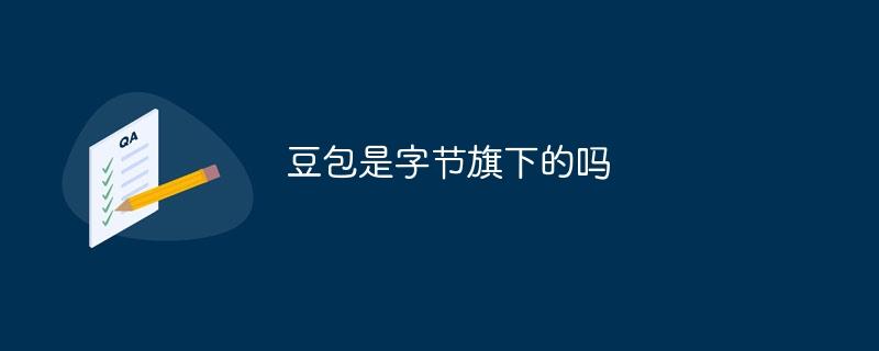 豆包是字节旗下的吗