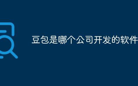 豆包是哪个公司开发的软件