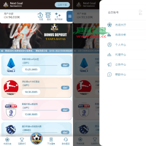 PC自适应反波胆系统/球盘源码/多级分销/充值返点