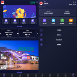 海外刷单抢单系统/多语言商城刷单/打针/叠加组/禁止刷单