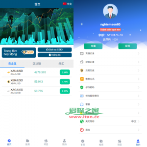 多语言微交易/贵金属外汇虚拟币微盘源码/越南时间盘