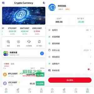 新UI海外微盘系统/虚拟币秒合约/多语言时间盘