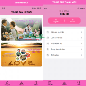 越南为爱投注系统/loveconnect投资/投注竞猜彩票