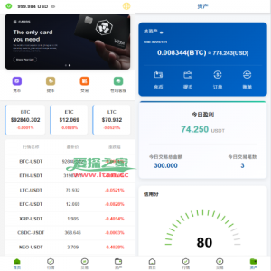 多语言微交易/虚拟币外汇交易/时间盘/微盘系统