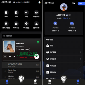 海外音乐抢单刷单系统/卡单/重置订单/前端VUE